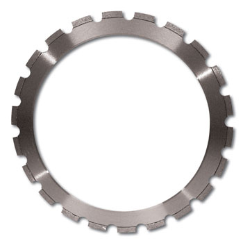 ringzaag1 ringzagen